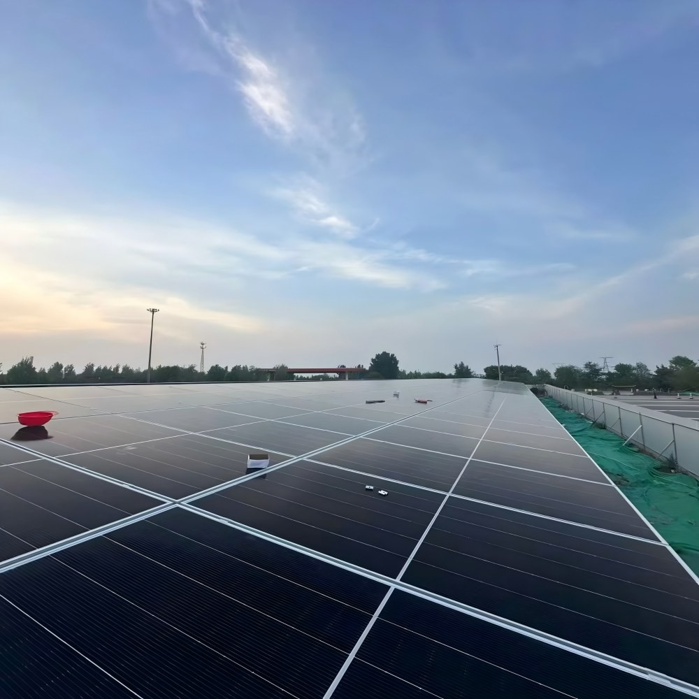 roof project roof project